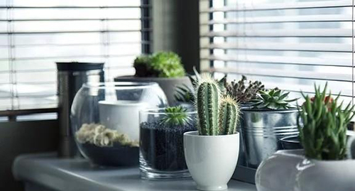 教你几招，辨别家里是否甲醛超标